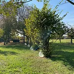 ゲストハウス Balabuska & Garden Codevigo