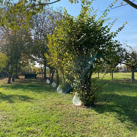 בית הארחה Balabuska & Garden Codevigo