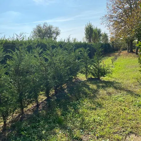 بيت ضيافة Balabuska & Garden Codevigo